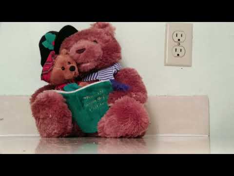 Custom- StoryTime Papa Bear