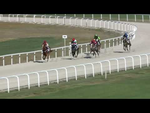 2019.04.21. 07. futam - GRÓF ERDŐDY RUDOLF EMLÉKVERSENY (I.kat.) (szintetikus pálya)