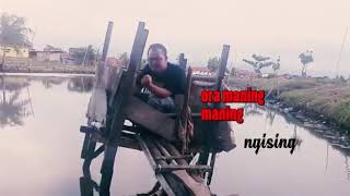 Download lagu Kapicirit (pengen ngising) mp3