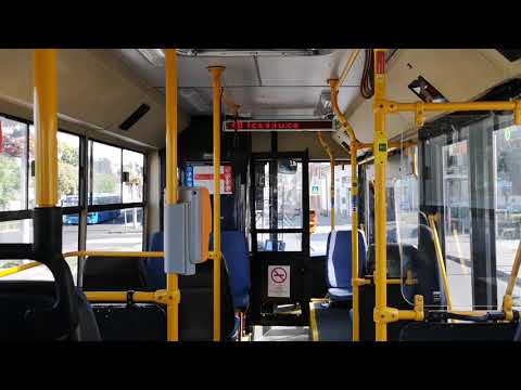 Ikarus 405.06 (BPO-202) [241-es busz] Savoya Park - Savoyai Jenő tér (Törley tér)