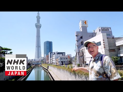 Tokyo Skytree and the Waterways of Edo - Dive in Tokyo