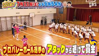 プロバレーボール選手のアタックから逃げ切れば賞金獲得！『いくらかわかる金？』7/11(土)【TBS】