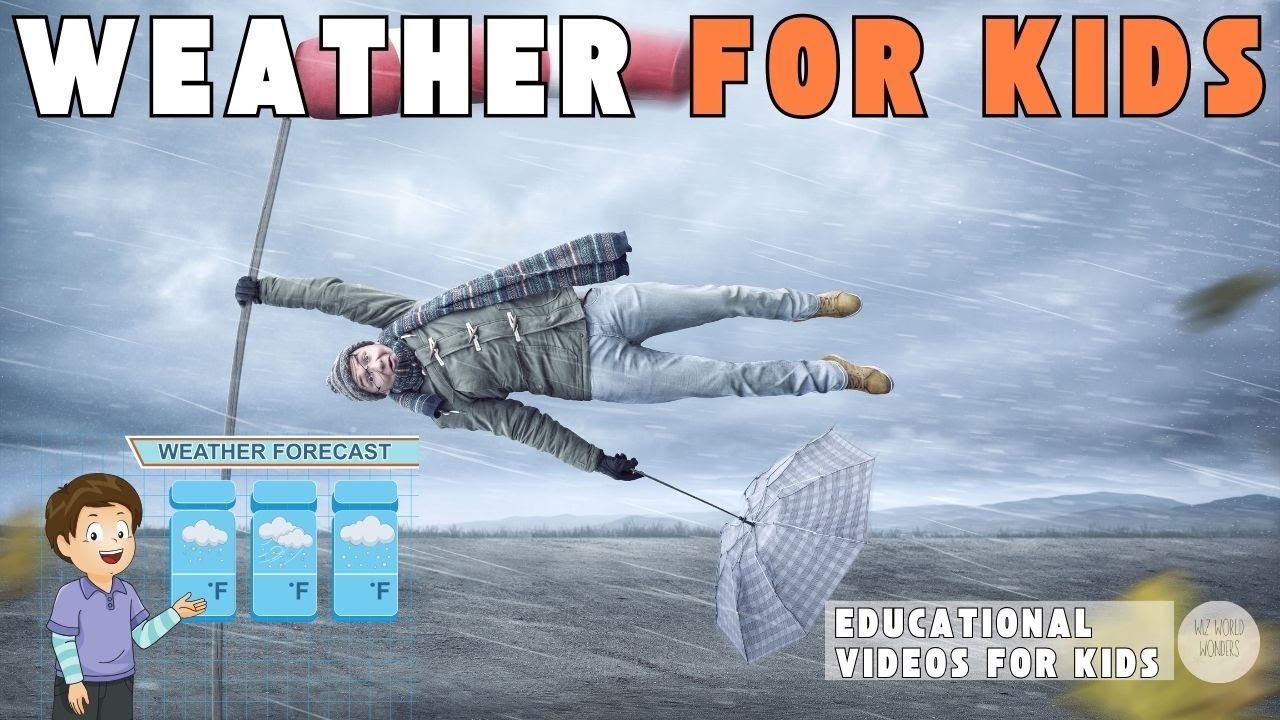 All About Weather for Kids | Educational Videos for Kids | Wiz World Wonders