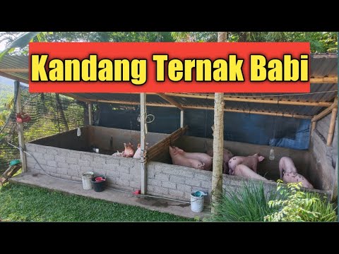 , title : 'Kandang Ternak Babi'