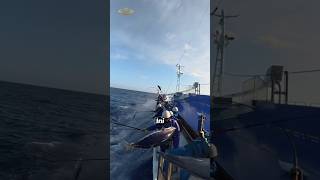Download lagu How Can You Fish Without Bait? mp3