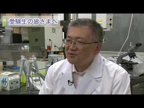 麻布大学 研究室紹介09_遠藤 治 准教授