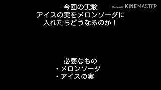実験コーナー(初)