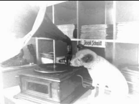 hans bund - ein lied geht um die welt mit gesang