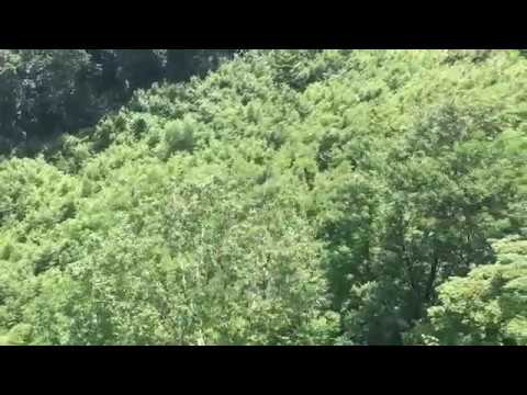 초록 가득한 시간