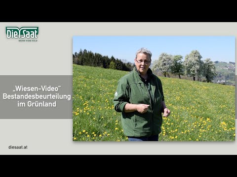 DIE SAAT "Wiesen-Video" - Bestandesbeurteilung im Grünland