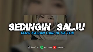 Download lagu DJ SEDINGIN SALJU || APAKAH ADA SALAHKU YANG MENYAKITI HATIMU || ENAK BNGT 🕺 mp3