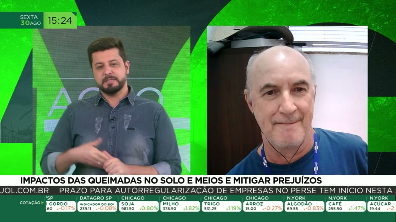 Impactos das queimadas no solo e meios e mitigar prejuízos