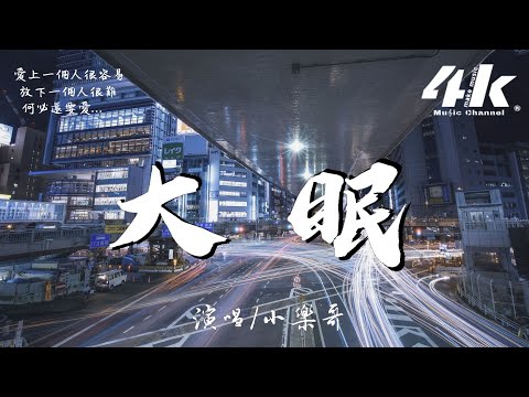 小樂哥 - 大眠(原唱:王心凌)【高音質|動態歌詞Lyrics】♫《都快忘了怎樣戀一個愛》xiao le ge  - da mian cover: Cyndi Wang 翻唱歌曲