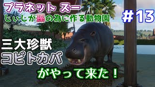 【Planet Zoo】じぃじが孫の為に作る動物園 #13【コビトカバ】
