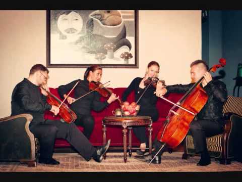Styginių muzika "Arcomanija" #5