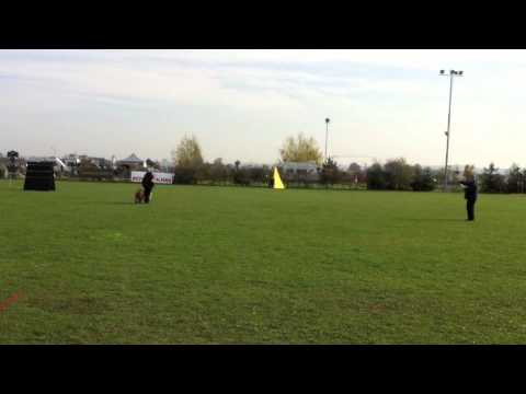 CMBF 2013 - Brian Badrias Darling