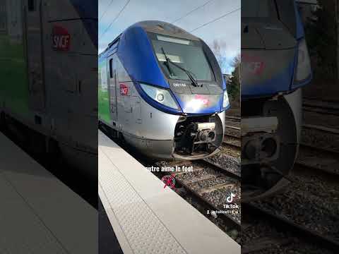 se qui dise la passion des train ses nul ces une passion comme les autres