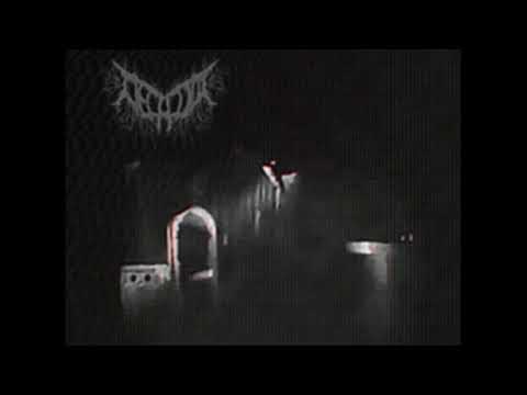 Decalius (Unfinished Tracks)