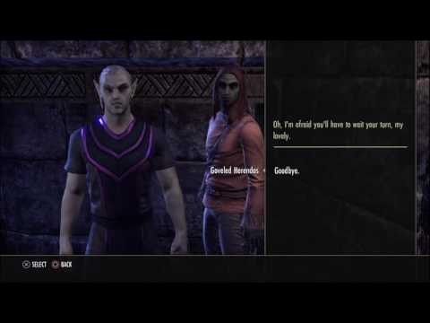WTF .   The Elder Scrolls Online         Bisexual  Gay  Elves .....