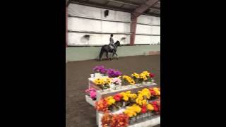 No stirrup November lesson