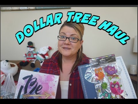 DOLLAR TREE HAUL 11/28/17 | SOME AWESOME FINDS! Video