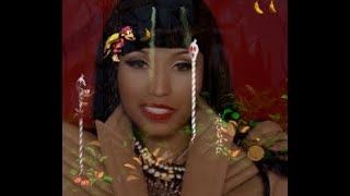 DKC2 Forest Interlude Vs Nicki Minaj Mashup (Donkey Kong Country 2)