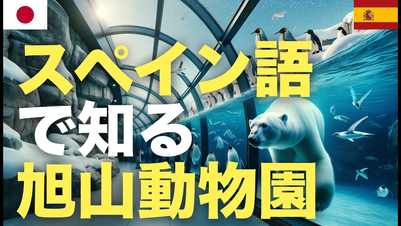 スペイン語で知る旭山動物園 スペイン語で知る旭山動物園
