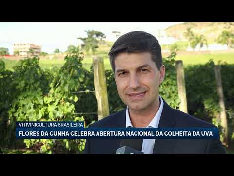 Flores da Cunha (RS) celebra abertura nacional da colheita da uva