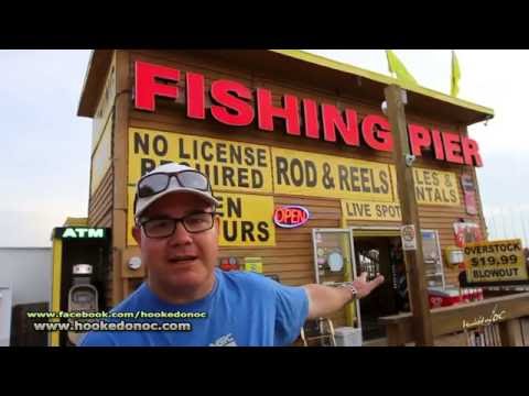 download lagu mp3 mp4 Fish In Oc, download lagu Fish In Oc gratis, unduh video klip Fish In Oc
