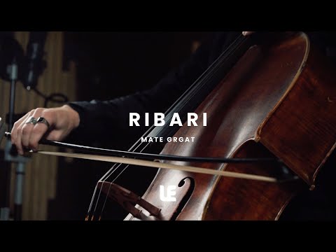 Ribari - Mate Grgat & LE produkcija (Vinko Coce Cover)