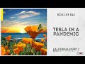 Rexx Life Raj Tesla In A Pandemic California Poppy 2