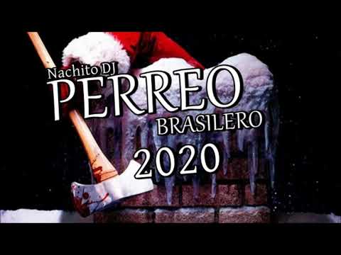PERREO BRASILERO 2020 ✘ BRASILEROS FUNK 2019 ✘ ENGANCHADO TWERK 2020 ✘abii DJ pK6mCOy9LUw 1080p