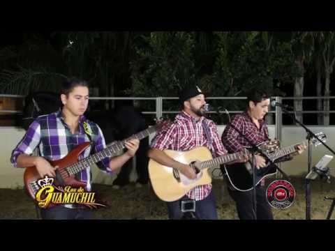 Los De Guamuchil -Tema Prohibido [Inedita En Vivo] Corridos 2015