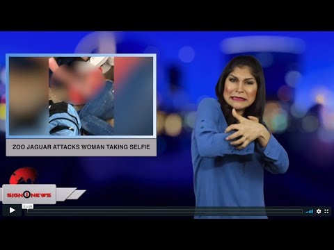 Zoo jaguar attacks woman taking selfie (ASL - 3.10.19)