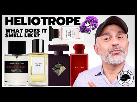 Top HELIOTROPE FRAGRANCES | What Does HELIOTROPE SMELL LIKE?