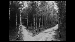 Long, Long Time Ago  Javier Navarrete