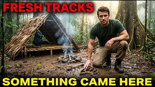 Download lagu 'Lost on a Forgotten River: Fresh Tracks' mp3