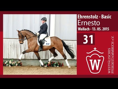 31 Ernesto Wallach v. Ehrenstolz - Basic