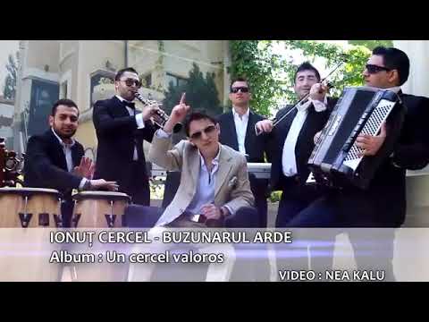 FLORIN PESTE si ALINU AJ - NUMAI PENTRU TINE TRAIESC