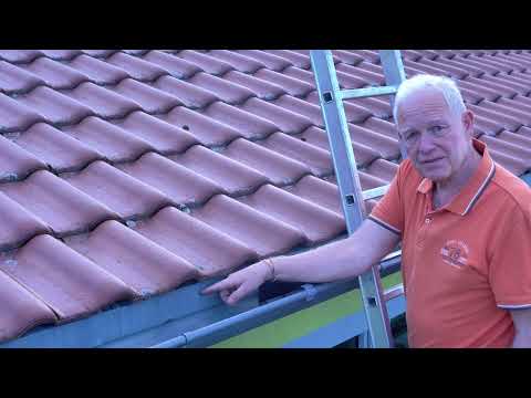 Unabhängiger Vergleich von Laubschutzsystemen