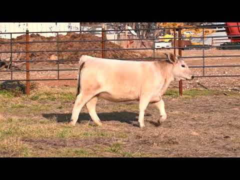 Listing 31771642548-video