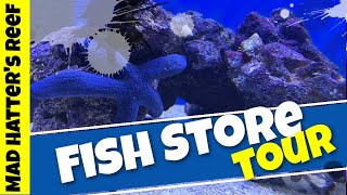 Fish Store Update | One Take Sunday