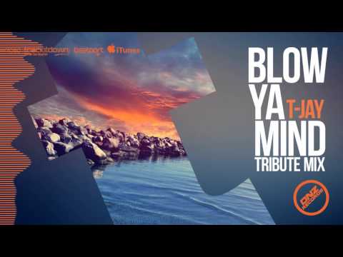 DNZF058 // T-JAY - BLOW YA MIND TRIBUTE MIX (Official Video DNZ RECORDS)