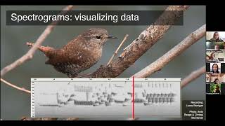 BioacousTalks: OpenSoundscape - Flexible deep learning for bioacoustics by Tessa Rhinehart