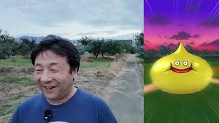 ドラクエウォーク738【キミはふっくらスライムを見たか？】