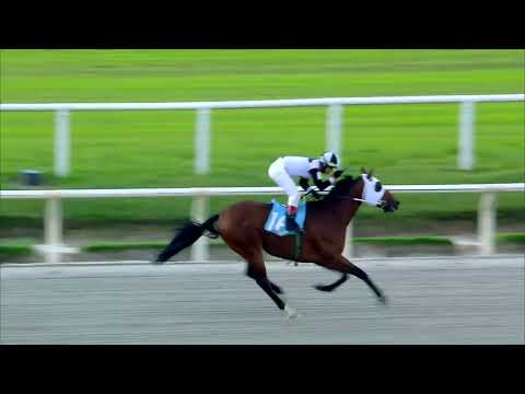 220416 c09 BLACK KING