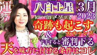 特別な月!次元上昇大チャンス運気超最高故に油断大敵【八白土星2023年3月の運勢】心の豊かさと現実を豊かに創造する九星気学の運命好転術の奥義とスピリチュアル『真理』の視点から真の開運方法をお伝えします