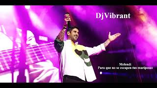 DjVibrant - Melendi - Para que no se escapen tus mariposas - Remix 2024