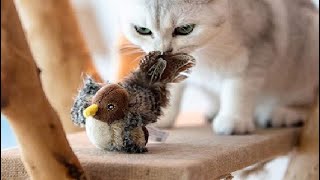 PetTec interaktiver beweglicher Spatz, Er gibt alles, um die Katzen zum spielen zu bewegen