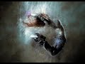 Book The Rental With It Rage No Copyright Music